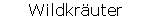 Wildkruter